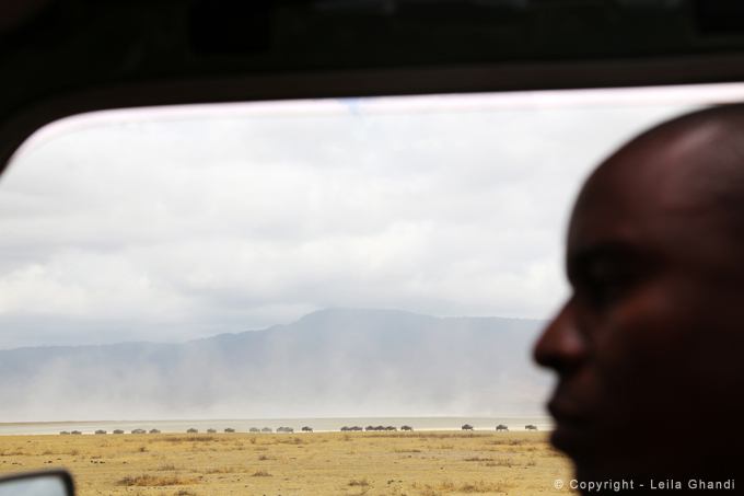 Tanzanie, 2012
